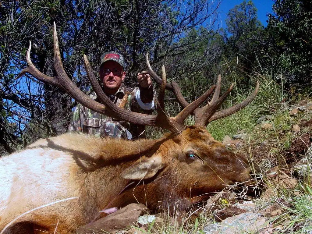 Elk Archery